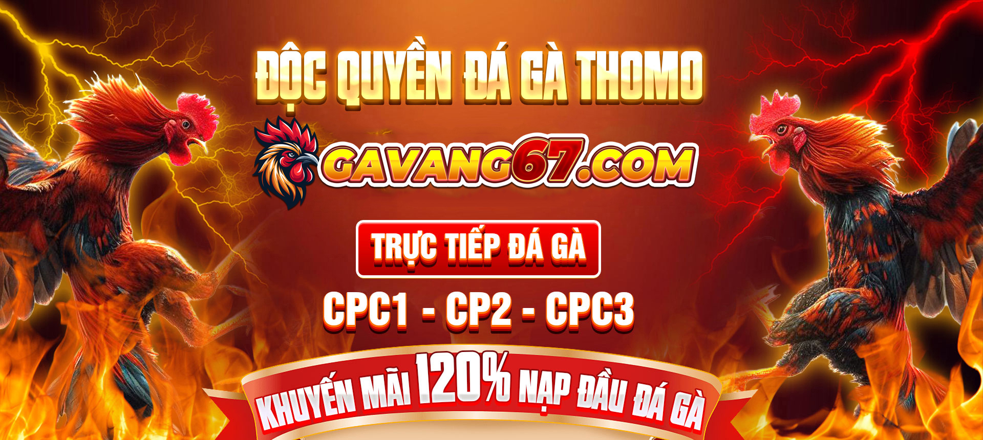 banner gavang67